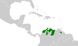Distribución geográfica del copetón venezolano.