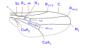 Hình xem trước của phiên bản lúc 16:40, ngày 3 tháng 2 năm 2010