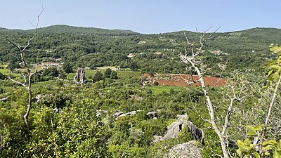 Il polje