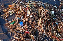 Plastic garbage washed ashore from the Pacific Ocean Plastic Ocean (4408273247).jpg