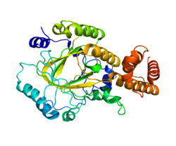 Белок PHF8 PDB 2WWU.png