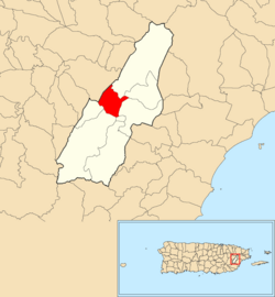 Location of Quebrada Arenas within the municipality of Las Piedras shown in red
