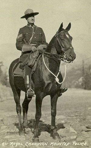 Postcard of a Royal Canadian Mounted Police of...