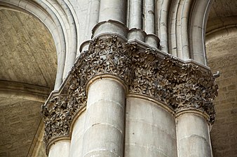 Reims Notre Dame column detail - horse chestnut.jpg