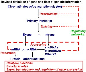 English: Revised definition of gene and flow o...