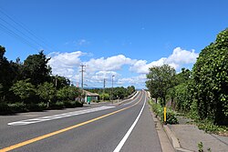 国道224号を桜島港方面に望む