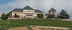 Schloss Johannisberg (Rheingau) von Süden (von DXR)