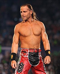 Shawn Michaels at WrestleMania XXIV