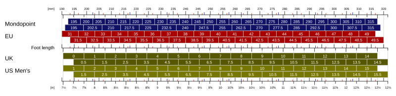 ISO/TS 19407