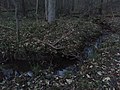 Südlich von Vienenburg im Radauer Holz, naturnaher Verlauf