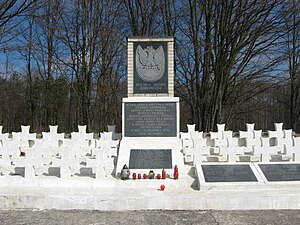 Польский военный мемориал в Вытычно