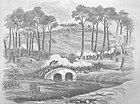 The 21st Massachusetts was part of Ferrero's Brigade, which captured the infamous Burnside's Bridge during the Battle of Antietam on September 17, 1862