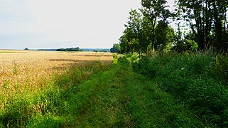 Les monts d'Affringues.