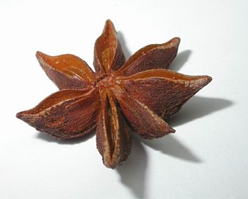Star Anise is a very common flavouring in Chin...
