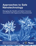 Approaches to Safe Nanotechnology