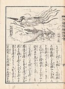 日本《阿弥陀经和训图会》（1864年）中的迦陵频伽和共命鸟插图