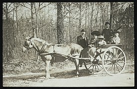 Photographie d'une carriole et de ses passagers en 1910.