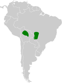 Distribución geográfica del hormiguero de Mato Grosso.