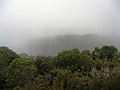 Lietaus miglos apgaubtas Onkolio kalnas Pakrantės kalnagūbryje