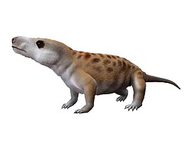 Charassognathus