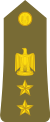 Egypt Army - OF05.svg