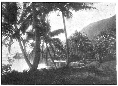 Palm trees in front of a lagoon, with hills and more palm trees to the right