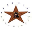 The Erasmus Star - Any editor who was registered on Wikipedia on January 15, 2015 when the Wikipedia community was collectively awarded the 2015 Erasmus Prize can display this star. Introduced by Vjmlhds