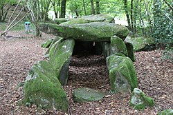 Image illustrative de l’article Dolmen de la Contrie