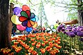 Flower street- Goyang International Flower Festival