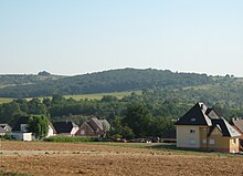 paysage forestier