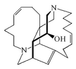 Imagen de la estructura