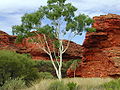 Paisaje de australia