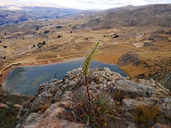 Vista de la laguna desde la cumbre de una vía.