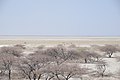 Solniska Makgadikgadi