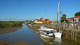 Le marais de la Seudre à Mornac en Charente-Maritime.