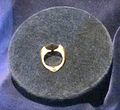 Lord Voldemort mors families ring