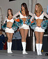 Cheerleader dei Miami Dolphins nel 2004, con un'uniforme più moderna, dotata di una "microgonna".