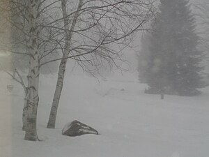 English: Minnesota Snow Storm
