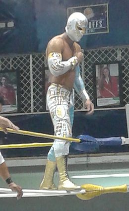 A masked wrestler posing on the ring ropes during the match, pointing to his chest.