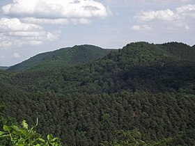 Le Mohnenberg vu du château de Schœneck