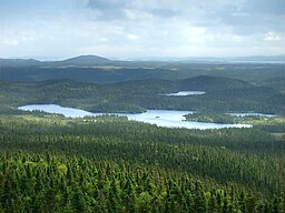 Udsigt over Terra Nova National Park fra Ocre Hill