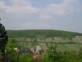 Vue du Neuberg depuis le Sommerhaidenweg.