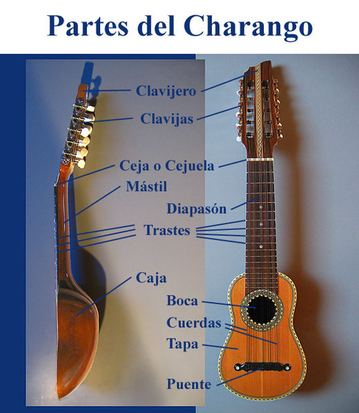 File:Partes del Charango 1.jpg