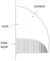 Schematic drawing of a pileate polypore fruit body Pileate polypore2.svg