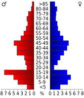 Bevolkingspiramide Harding County