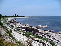 Wild beach. June, 2008 - panoramio.jpg