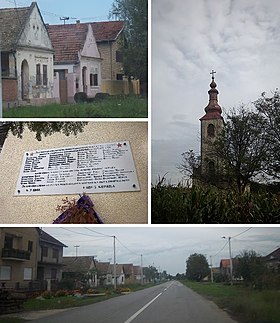 Pačetin