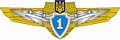 1st grade Specialist Badge