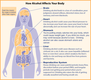 Alcohol diagram