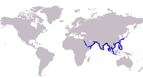 Description de l'image Alepes melanoptera distribution.PNG.